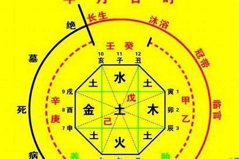 今日出生八字|生辰八字算命、五行喜用神查詢（免費測算）